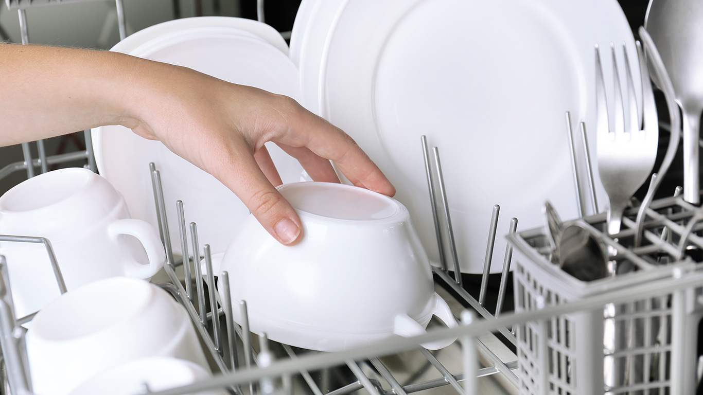 hand-in-dishwasher